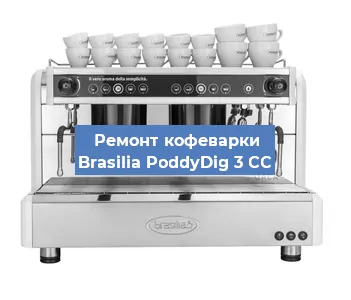 Замена | Ремонт термоблока на кофемашине Brasilia PoddyDig 3 CC в Санкт-Петербурге